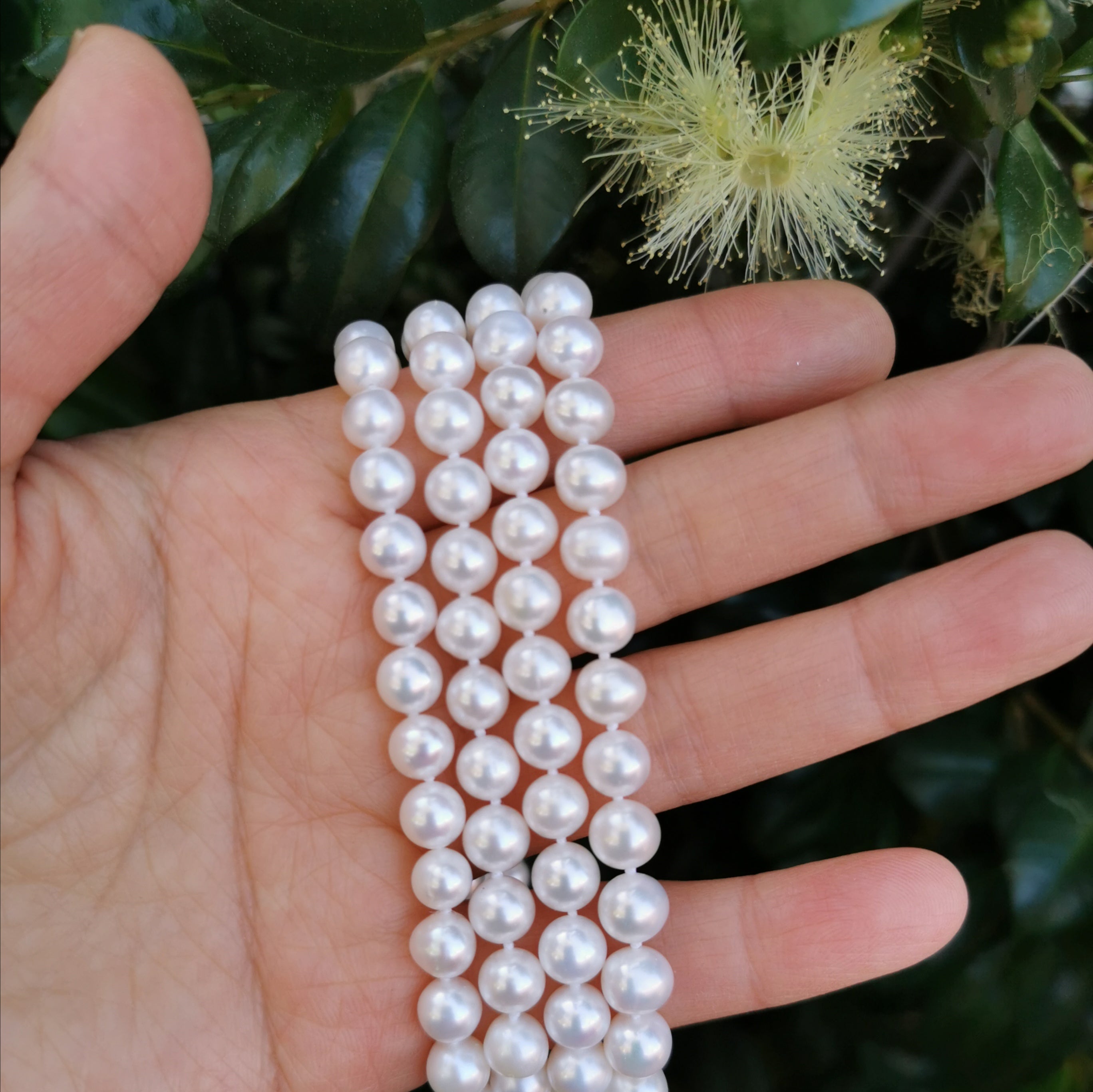 8mm freshwater pearl with sterling silver clasp long necklace