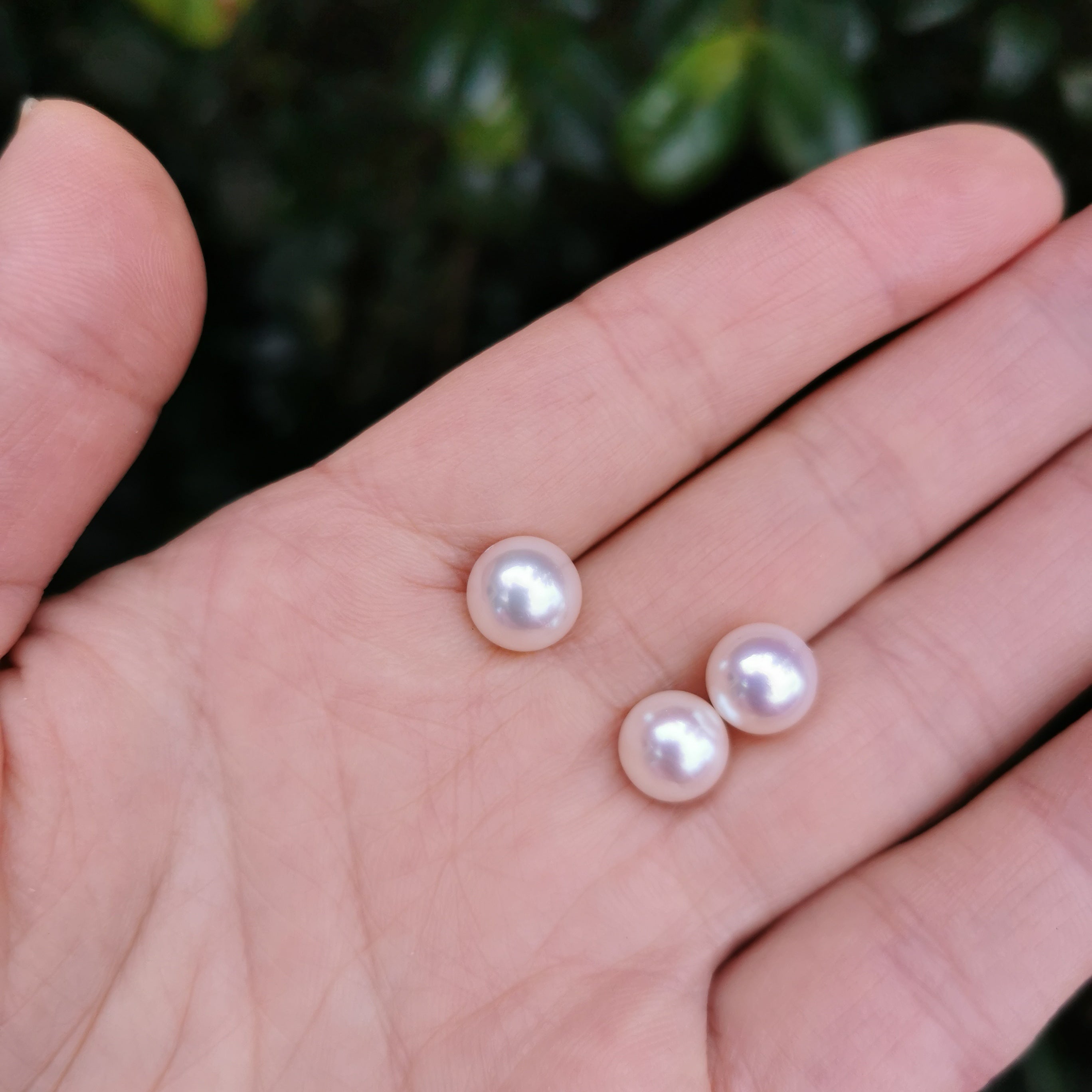 8.9mm -9.51mm genuine excellent collectable round Akoya loose pearl half drilled