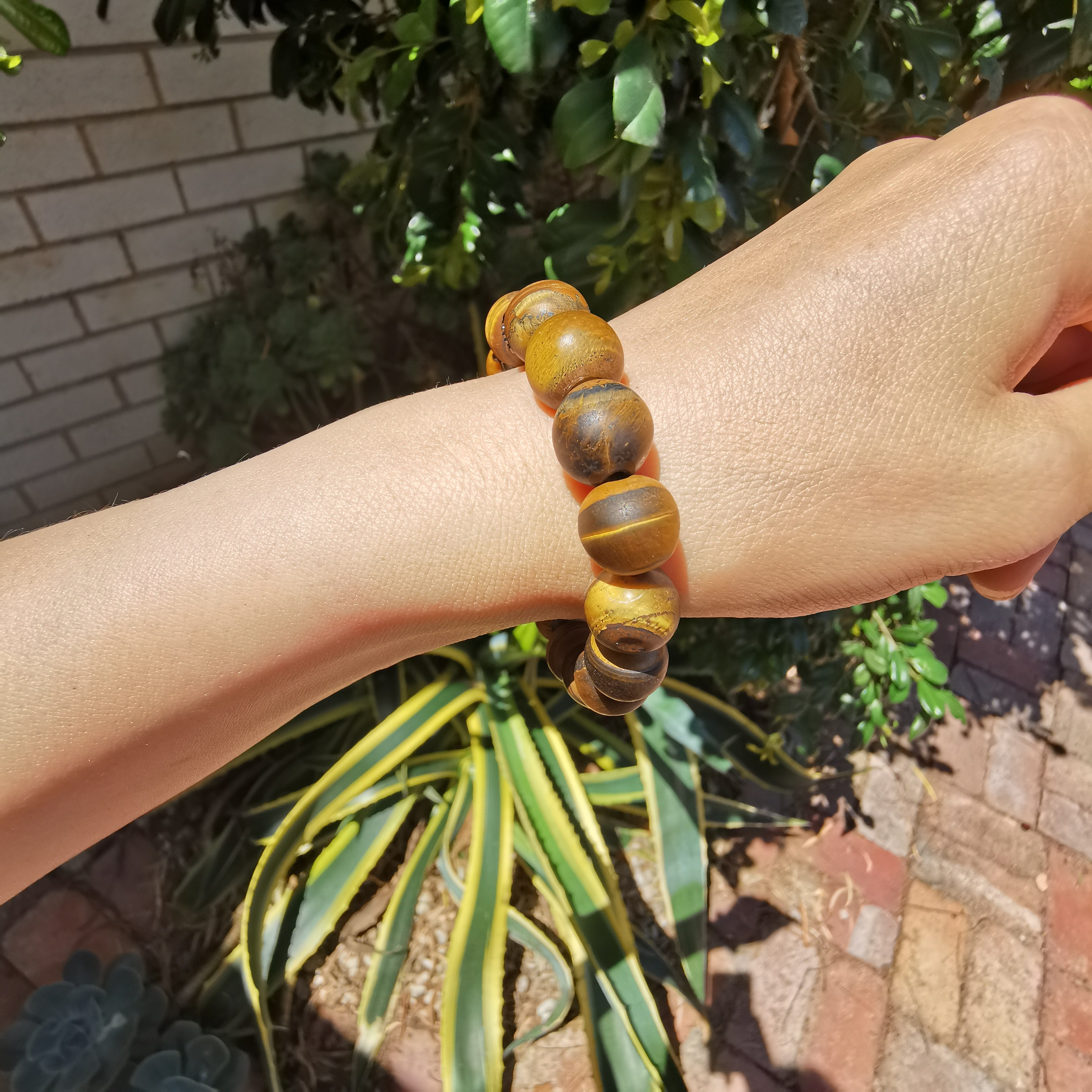 Unisex natural matt polished tiger eye bracelet
